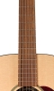Neck